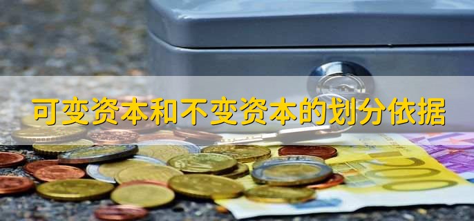 可变资本和不变资本的划分依据，有以下两点