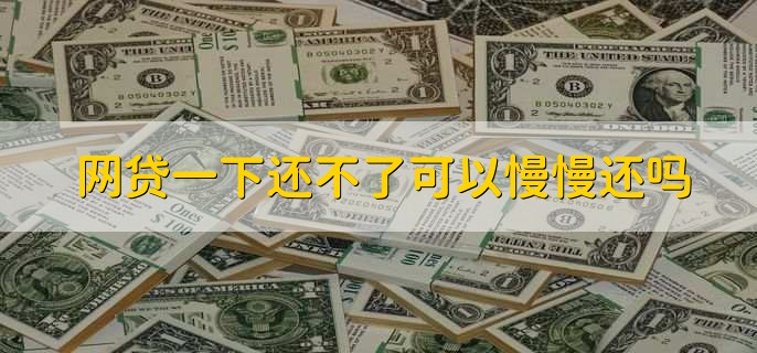 网贷一下还不了可以慢慢还吗，可以