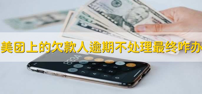 美团上的欠款人逾期不处理最终是怎么办，有以下七步