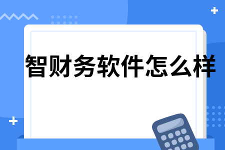 智财务软件怎么样
