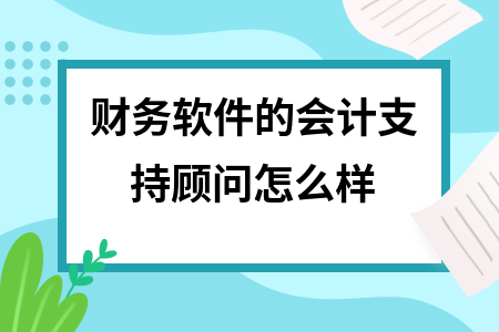 财务软件的会计支持顾问怎么样