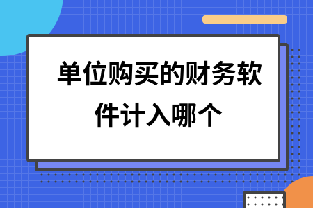 单位购买的财务软件计入哪个