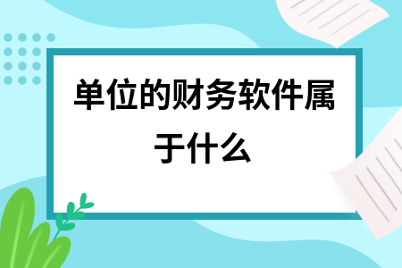单位的财务软件属于什么