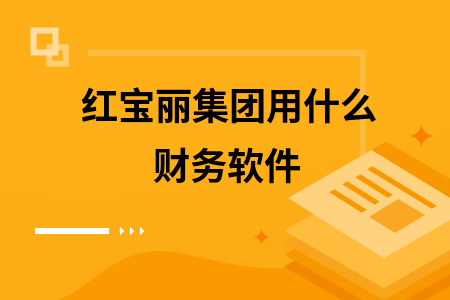红宝丽集团用什么财务软件