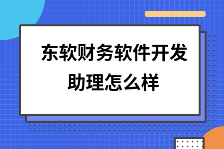 东软财务软件开发助理怎么样
