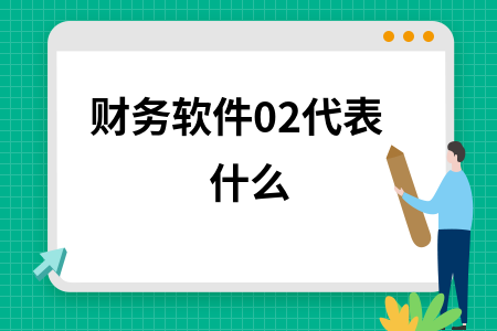 财务软件02代表什么