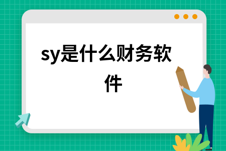sy是什么财务软件