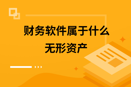 财务软件属于什么无形资产