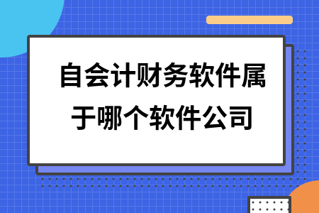 自会计财务软件属于哪个软件公司