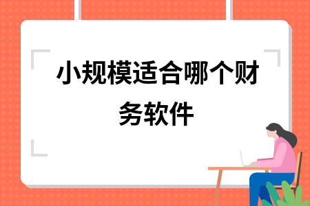 小规模适合哪个财务软件