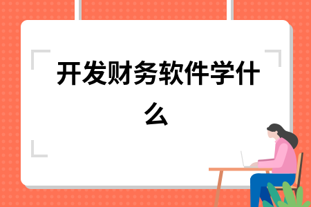 开发财务软件学什么