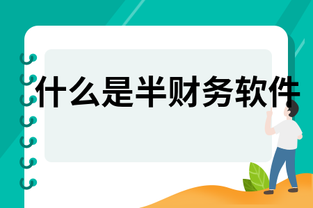 什么是半财务软件