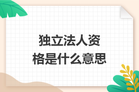 独立法人资格是什么意思