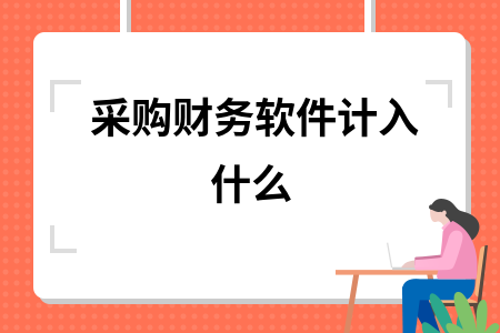 采购财务软件计入什么