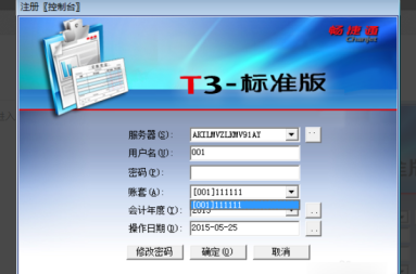 t3软件如何打印全年明细账