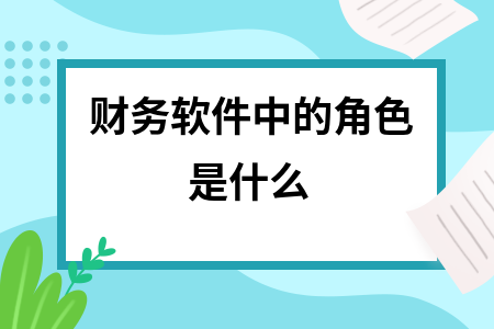 财务软件中的角色是什么
