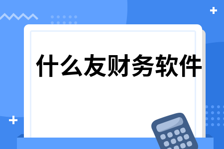 什么友财务软件