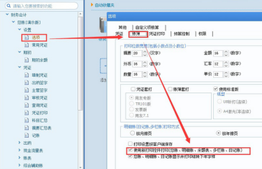 t3软件如何打印全年明细账