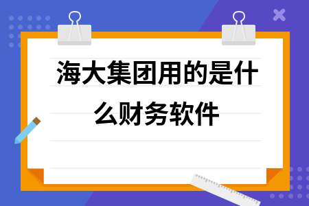 海大集团用的是什么财务软件