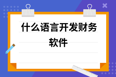 什么语言开发财务软件