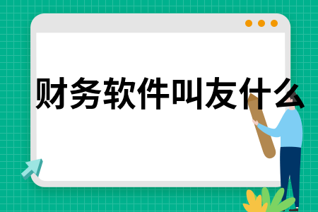 财务软件叫友什么