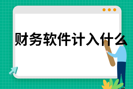 财务软件计入什么