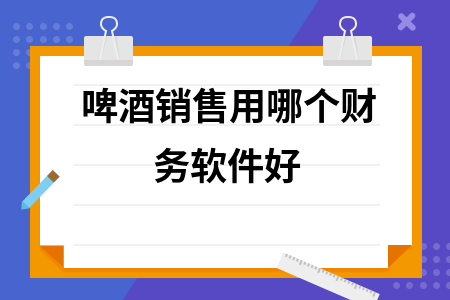 啤酒销售用哪个财务软件好