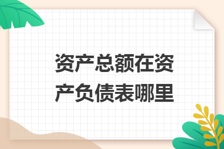 资产总额在资产负债表哪里
