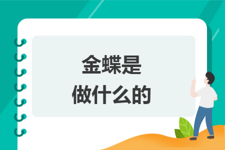 金蝶是做什么的