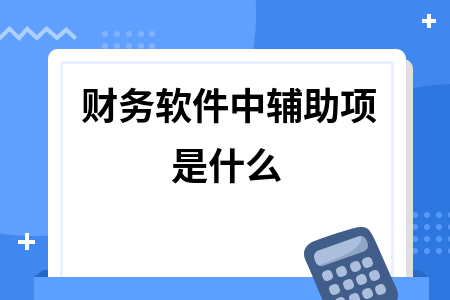 财务软件中辅助项是什么