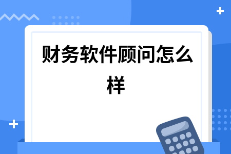 财务软件顾问怎么样