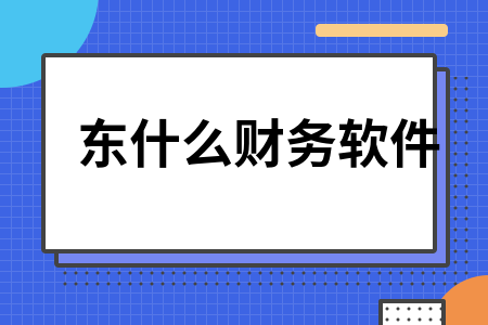 东什么财务软件