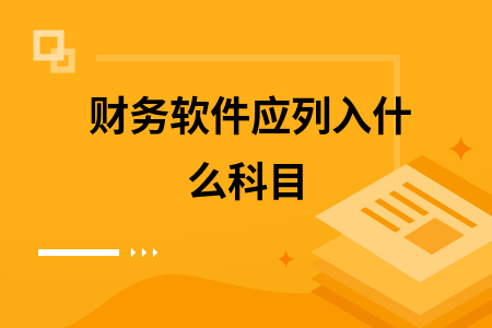 财务软件应列入什么科目