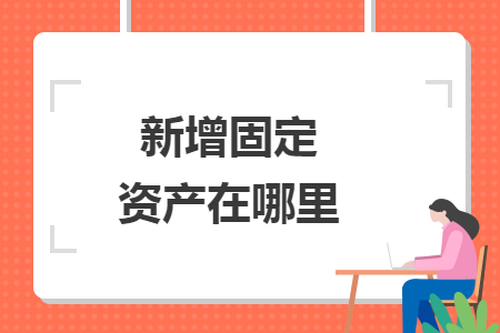 新增固定资产在哪里