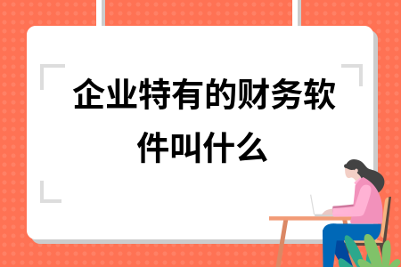 企业特有的财务软件叫什么