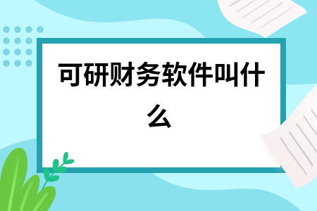 可研财务软件叫什么