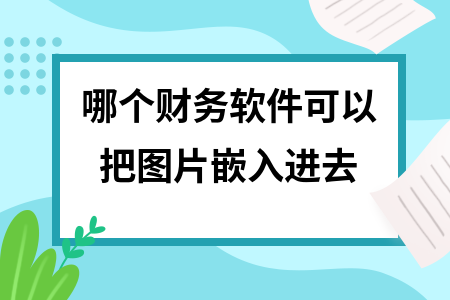 哪个财务软件可以把图片嵌入进去