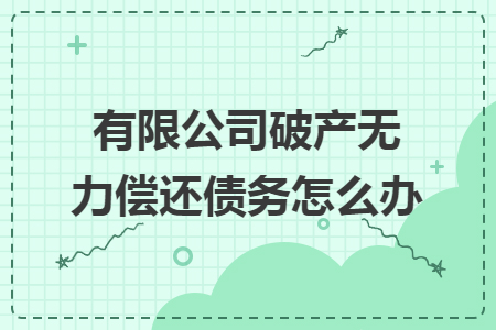 有限公司破产无力偿还债务怎么办