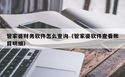 管家婆软件查看账目明细