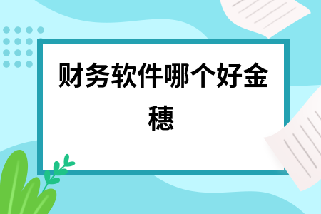 财务软件哪个好金穗