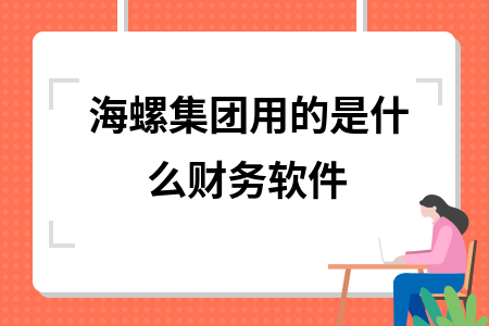 海螺集团用的是什么财务软件