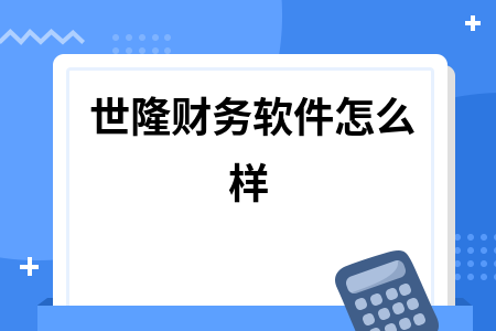 世隆财务软件怎么样