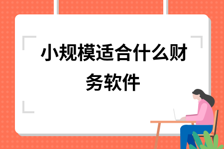 小规模适合什么财务软件