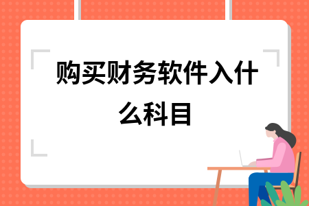 购买财务软件入什么科目
