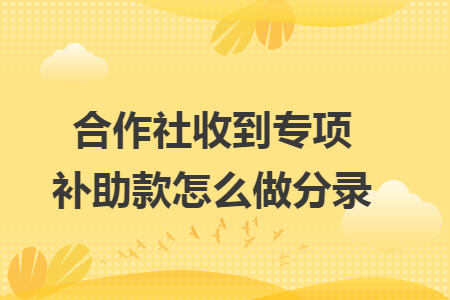 合作社收到专项补助款怎么做分录