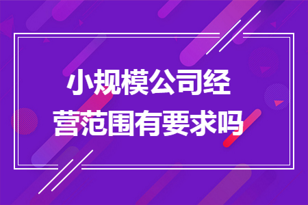 小规模公司经营范围有要求吗