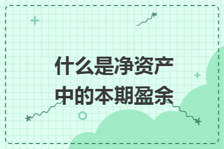 什么是净资产中的本期盈余