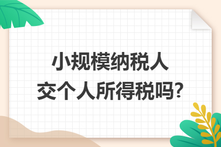 小规模纳税人交个人所得税吗?