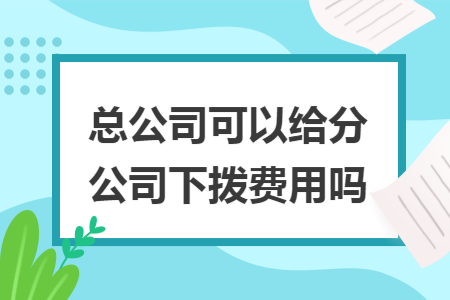 总公司可以给分公司下拨费用吗