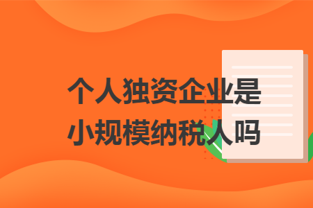 个人独资企业是小规模纳税人吗